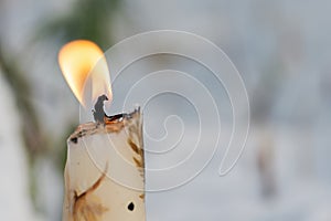 Winter holiday decoration concept: burning beeswax candle close to frozen snow covered pine trees in forest preserve