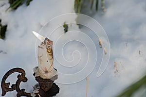 Winter holiday decoration concept: burning beeswax candle close to frozen snow covered pine trees in forest preserve