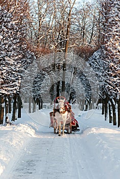 Winter holiday-walk in carriage
