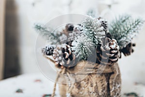 Winter holidays background of pine cones powdered with artificial snow and white downy shawl. Merry Christmas brown