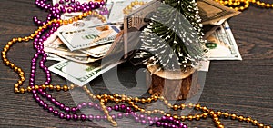 Winter holidays. A gift in the form of cash under the Christmas tree.
