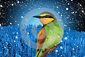 Winter holidays picture of a christmas bird against a background of winter landscape