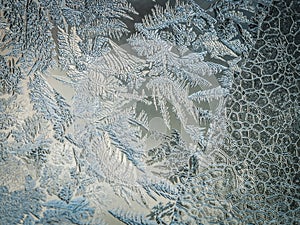 Winter Holidays Season Fantasy World Concept: Macro Image Of A Frosty Window Glass Natural Ice Patterns With Copy Space