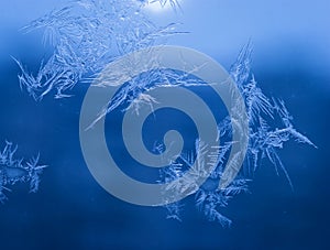 Winter Holidays Season Fantasy World Concept: Macro Image of Natural Ice Crystals Patterns on a Blue Frosted Window Pane With Sun