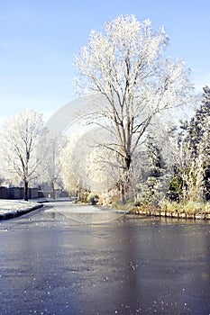 Winter in Holland photo