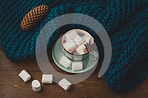 Winter home background - cup of hot cocoa with marshmallow