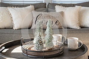 Winter home decor