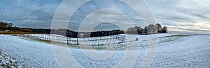 Winter Hop field with dark could background