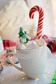 Winter hot drink. Hot chocolate or cocoa with marshmallow and candy on white background. Xmas christmas happy new year concept.