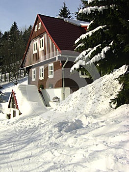 Winter house