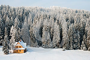 Winter house