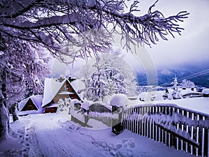 Winter house