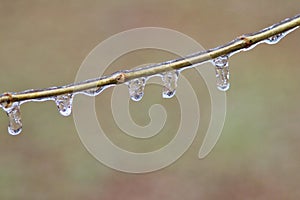 Winter Ice - Cold Weather background - Hanging around