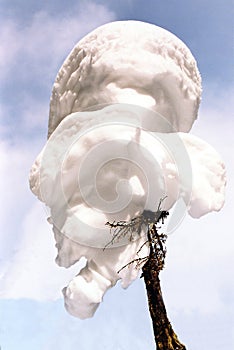 Winter ice cream on a stick