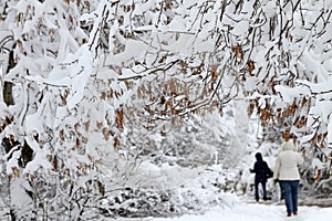 Winter. Ice. Snow. People walks a snowy icy road passing snowy cars on uncleaned icy street after a heavy snowfall. Unclea