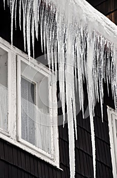 Winter icicles