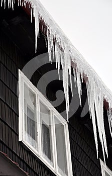 Winter icicles