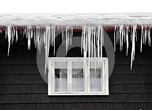 Winter icicles