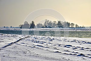 Winter by the IJssel river