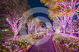 Winter illumination in Tokyo, Japan