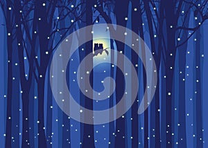 Winter illustration love owl in snowing forest photo