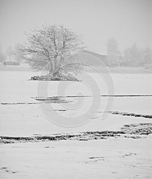 Winter impressions Lake & Trees Collection