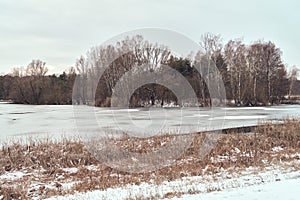 Winter isle with trees and frozen ice. Winter landscape. First snow.