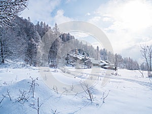 Winter in the italian Alps. Beautiful view of idyllic village in snowy forest and snowcapped mountain peaks. Piedmont, Italy