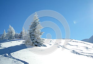 Winter in the Italian Appennines photo