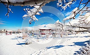 Winter Japanese garden in Almaty