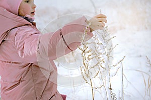 Winter joy. Little girl touching beautiful frozen branches. Cold and travel, winter tourism, active holidays