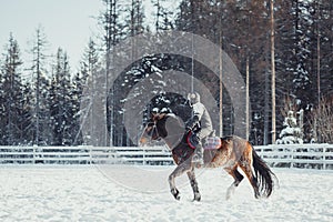 Winter jump horse ride jumping photo