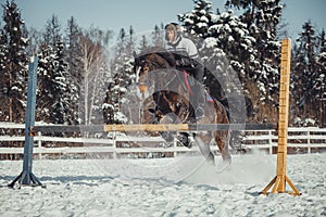 Winter jump horse ride jumping photo