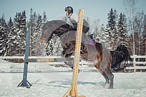 Winter jump horse ride jumping photo