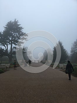 Winter in kew gardens