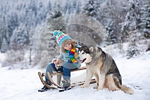 Winter knitted kids clothes. Boy sledding in a snowy forest with dog husky. Outdoor winter fun for Christmas vacation.