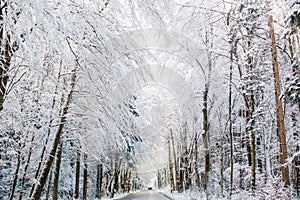 Winter koenigssee bayern alps