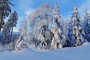 Winter in Krkonose mountains, Czech Republic pure white snow,