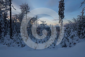 Winter in Krkonose mountains, Czech Republic pure white snow,