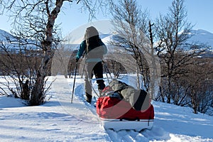 Winter on the Kungsleden