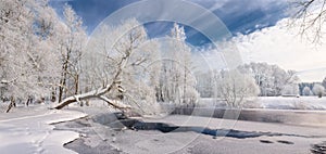 Winter Lace: Realistic Panoramic Christmas Landscape In White Tones With Icy River, Surrounded By Whitetail Trees And Deep Blue Sk