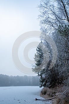 Winter Lakeside: Hushed Morning in Frost photo