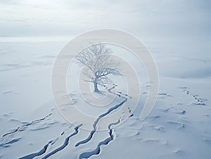 winter lamdscape with snow and a bare tree, banner format, tranquil scenary