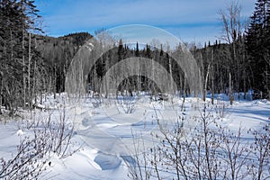 Little pond, Winter landsacape on the countryside photo