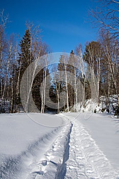 Snowshoe trail, Winter landsacape on the countryside photo