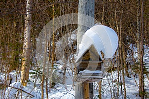 Snowy bird house, Winter landsacape on the countryside photo