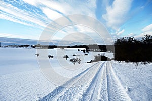 Winter Landsacpe of Breitingen near Ulm