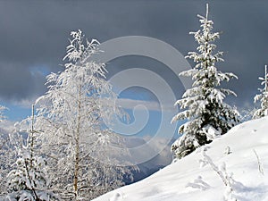 Winter landscape 1