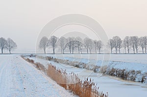 Winter landscape