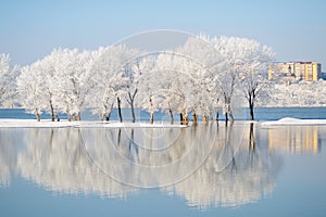 Winter landscape